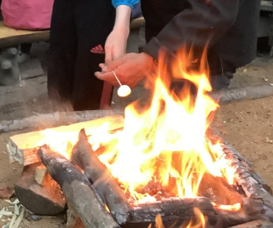 Toasting a marshmallow over a campfire